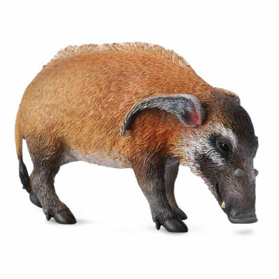 Фигурка Дикий кабан Collecta 88554b